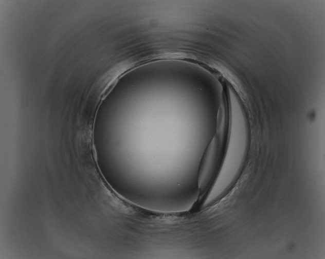 X0000091651193200708231214