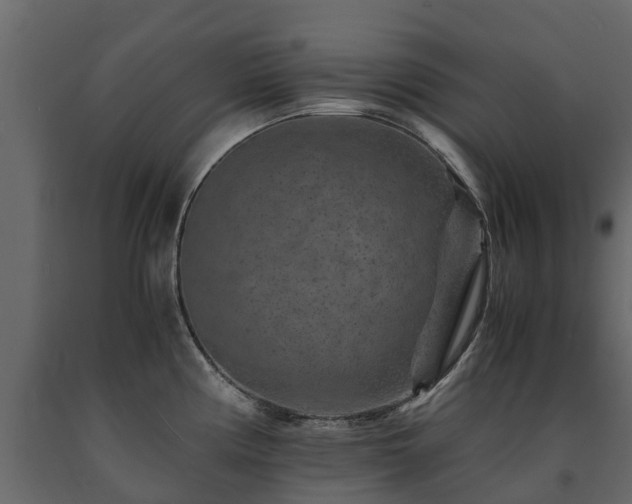 X0000091651194200708231214