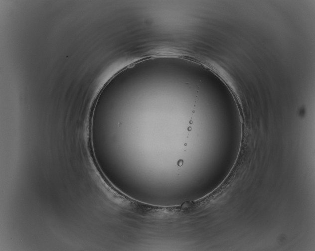 X0000091651195200708231214