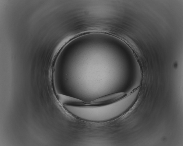 X0000091651196200708231214