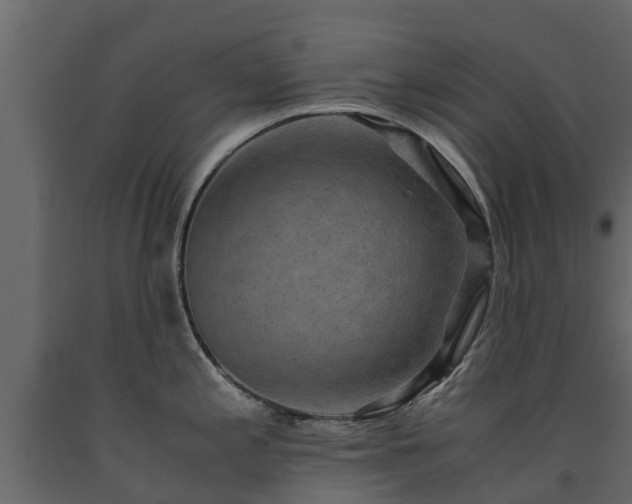 X0000091651197200708231214