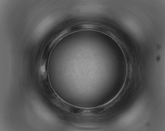 X0000091651198200708231214