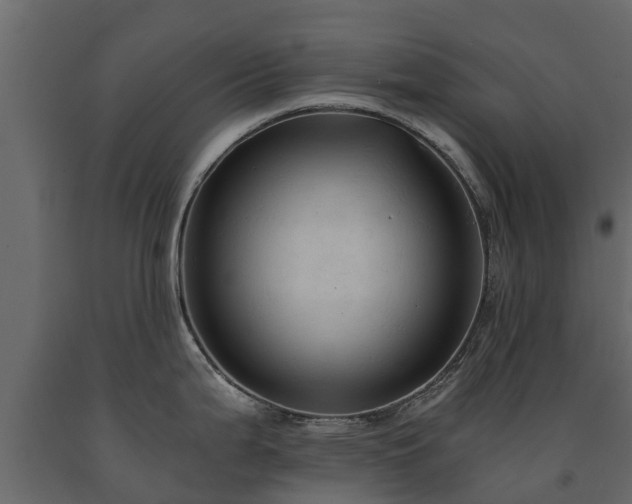 X0000091651199200708231214