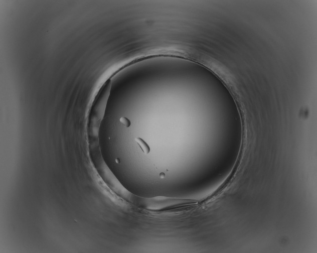 X0000091651200200708231214