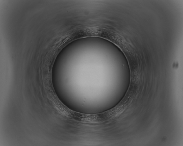 X0000091651201200708231213