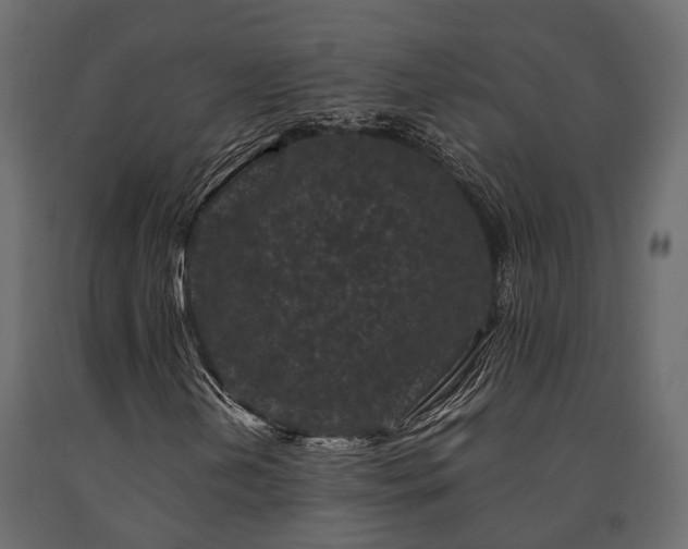 X0000091651202200708231213