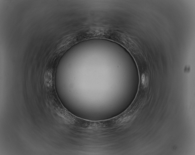 X0000091651203200708231213