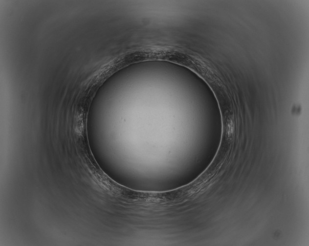 X0000091651204200708231213