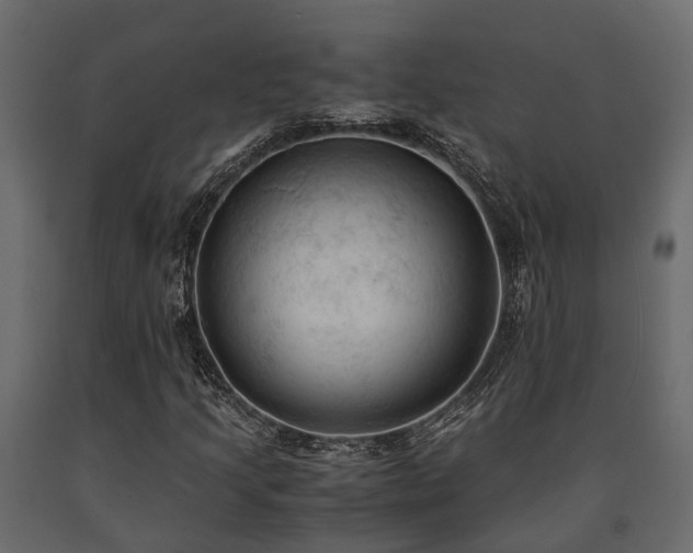 X0000091651205200708231213
