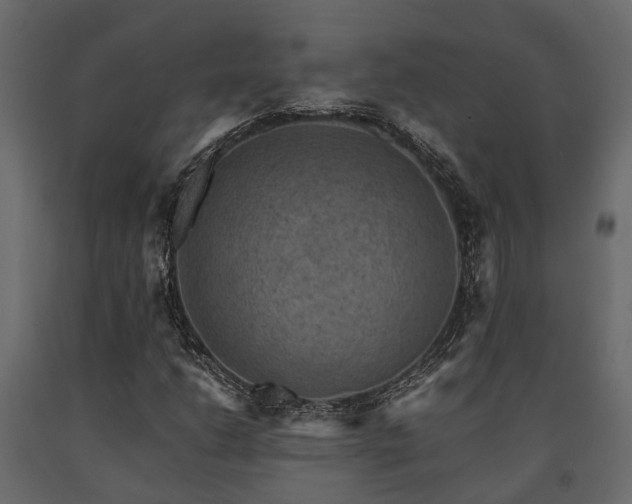 X0000091651206200708231213