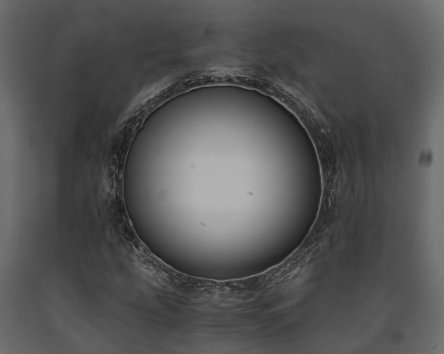 X0000091651207200708231213