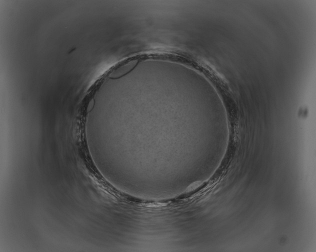 X0000091651208200708231213