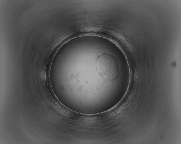 X0000091651209200708231214