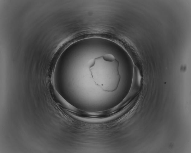 X0000091651210200708231214