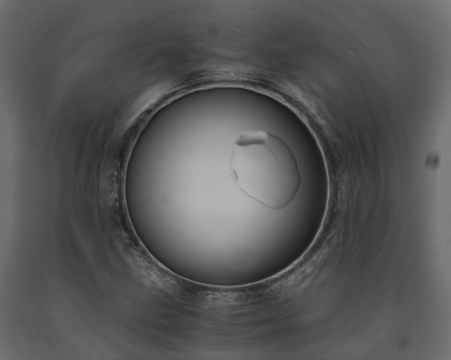 X0000091651211200708231214