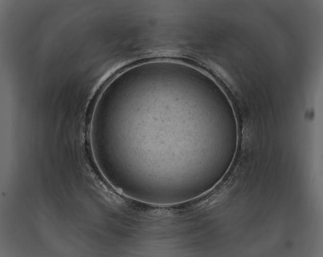 X0000091651212200708231214
