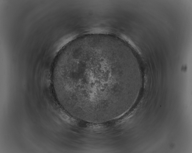 X0000091651213200708231214