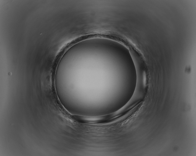 X0000091651214200708231214