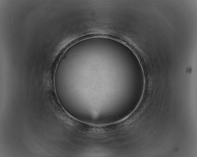 X0000091651215200708231214