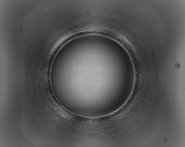 X0000091651216200708231214
