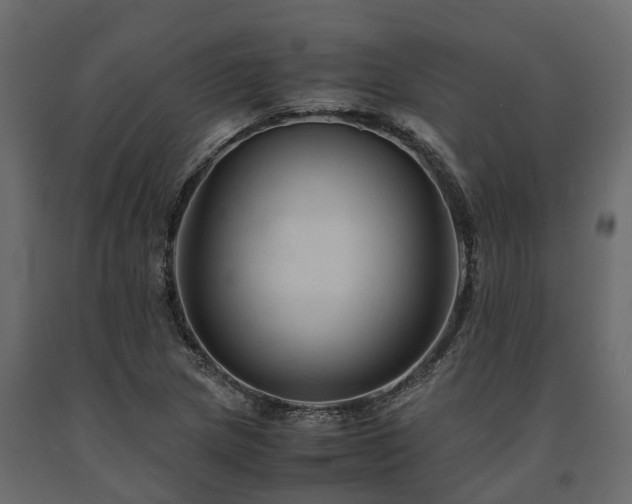 X0000091651217200708231214