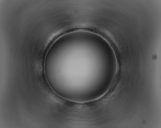 X0000091651218200708231214