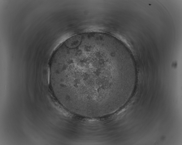 X0000091651219200708231214