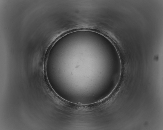X0000091651220200708231214