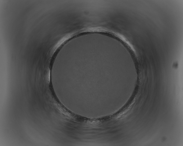 X0000091651221200708231214