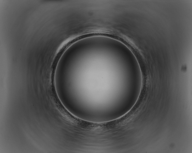 X0000091651222200708231214