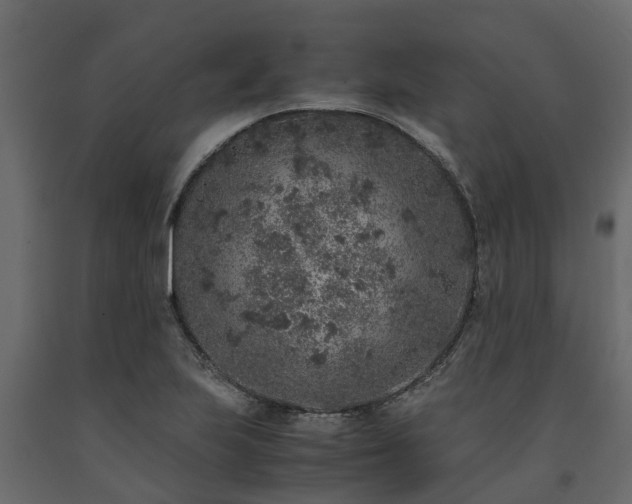 X0000091651223200708231214