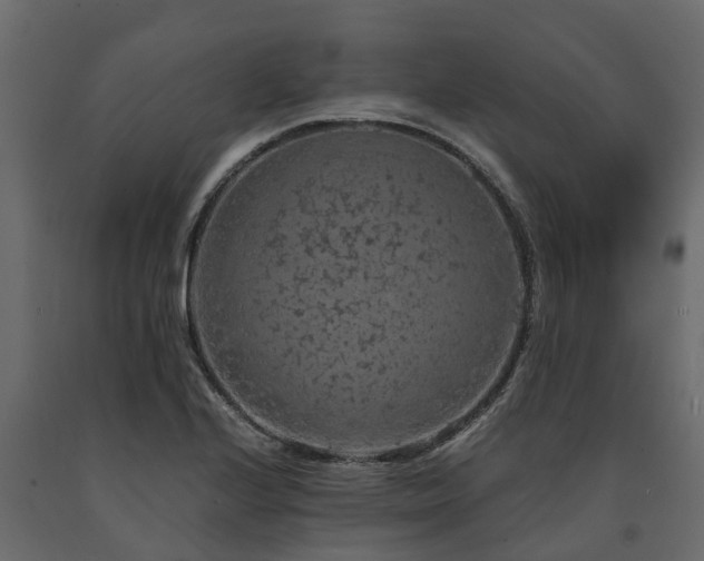 X0000091651224200708231214