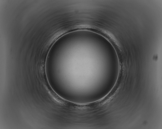 X0000091651225200708231214