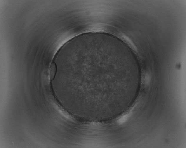 X0000091651226200708231214