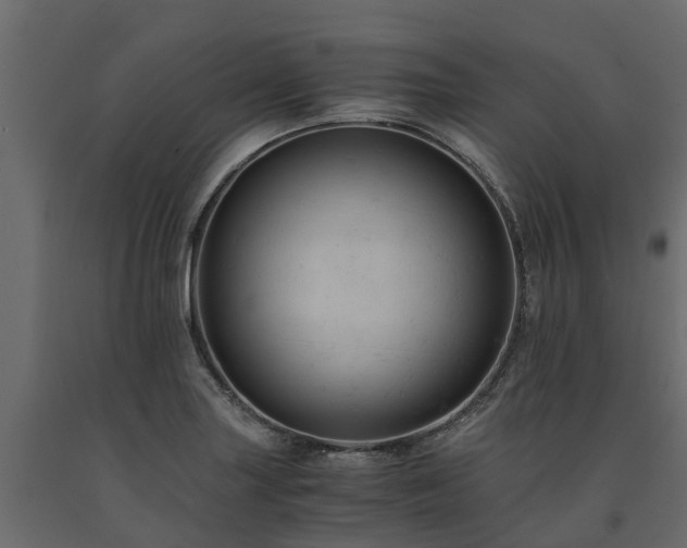 X0000091651227200708231214