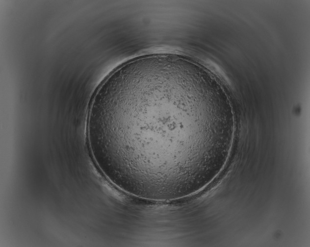 X0000091651228200708231214
