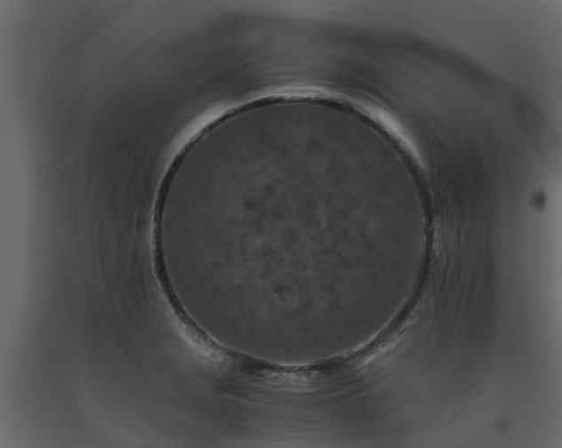 X0000091651229200708231214