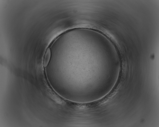 X0000091651230200708231214