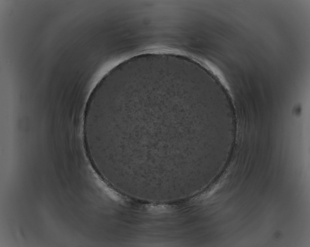 X0000091651231200708231214