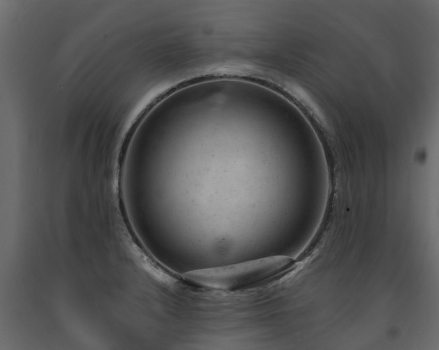 X0000091651232200708231214
