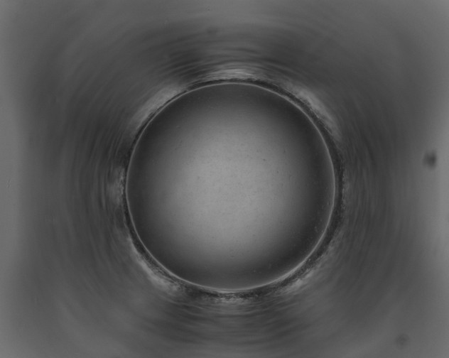 X0000091651233200708231214