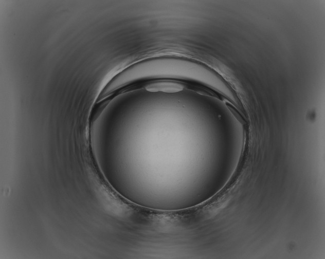 X0000091651234200708231214