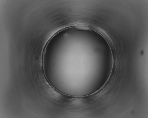 X0000091651236200708231214