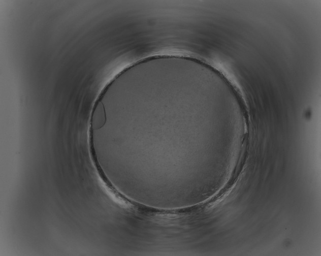 X0000091651237200708231214