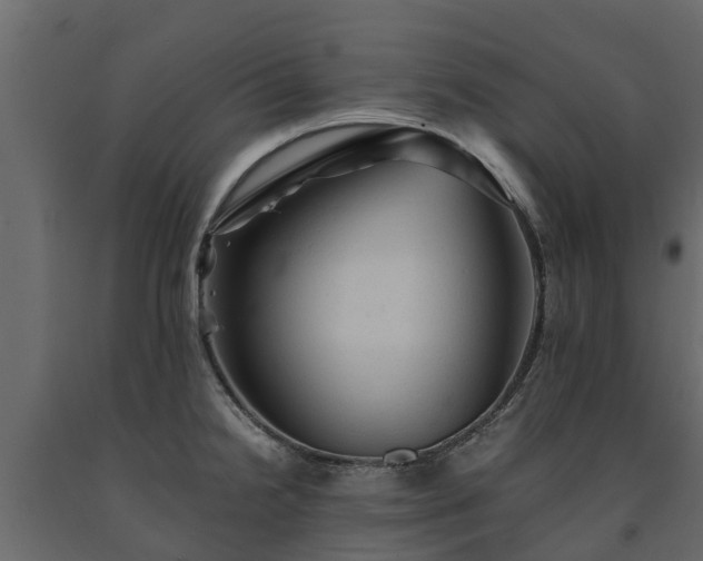 X0000091651238200708231214