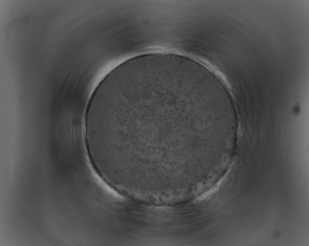 X0000091651239200708231214
