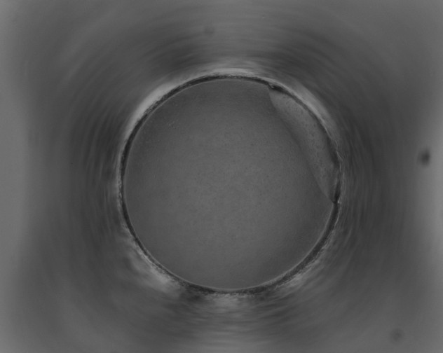 X0000091651240200708231214