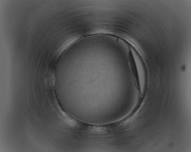 X0000091651241200708231214