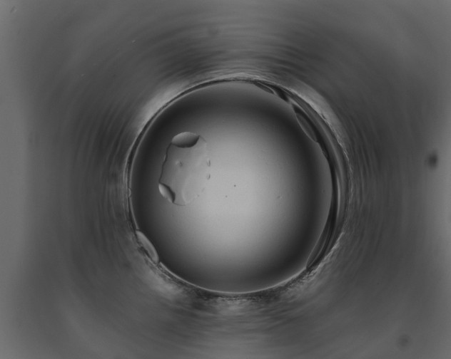 X0000091651242200708231214