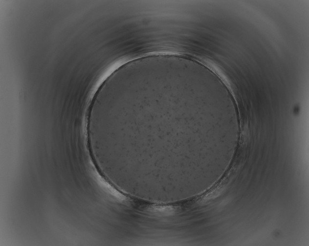 X0000091651243200708231214